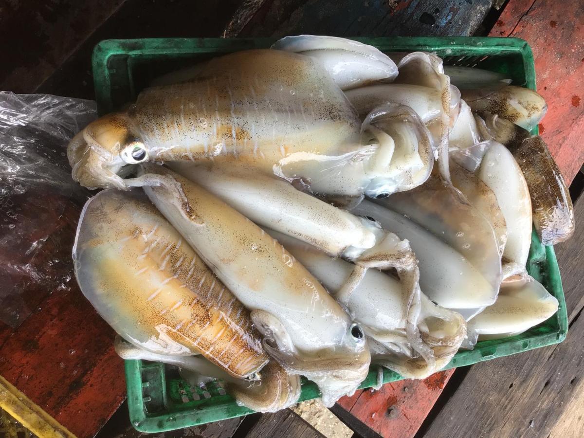 Homestay&Chaoleyseafoodrestaurant Ko Pu Luaran gambar